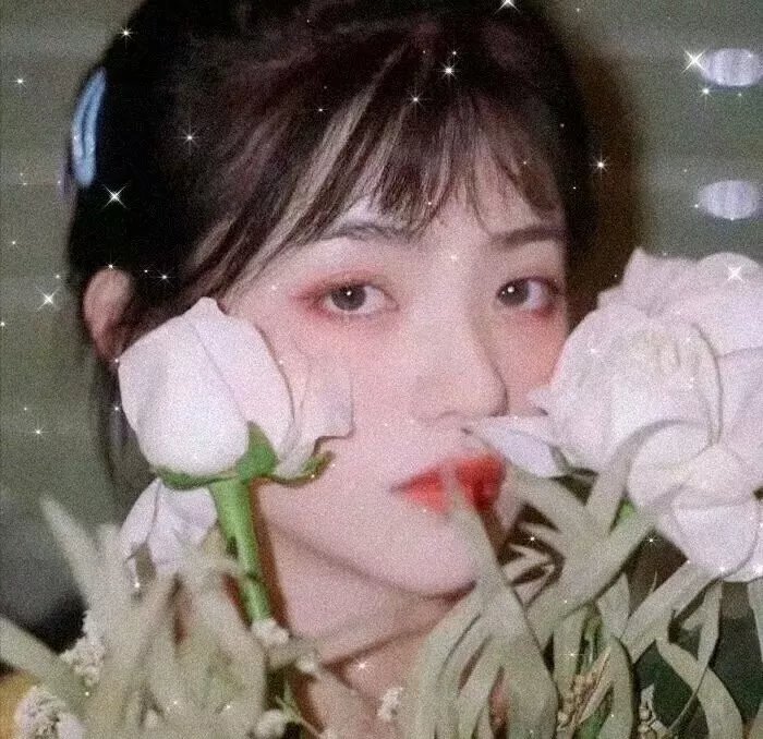 德里夫人您在哪